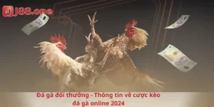 Đá gà đổi thưởng - Thông tin về cược kèo đá gà online 2024