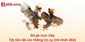 Đá gà trực tiếp - Tất tần tật các thông tin cụ thể nhất 2024