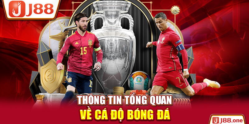 Thông tin tổng quan về cá độ bóng đá