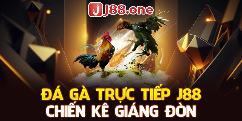  Đá gà trực tiếp j88, chiến kê giáng đòn